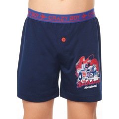 Tutku Erkek Çocuk Elastan Pamuk Baskılı Boxer 10'lu